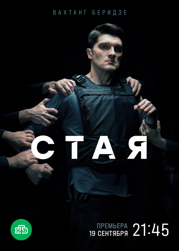 Стая - постер